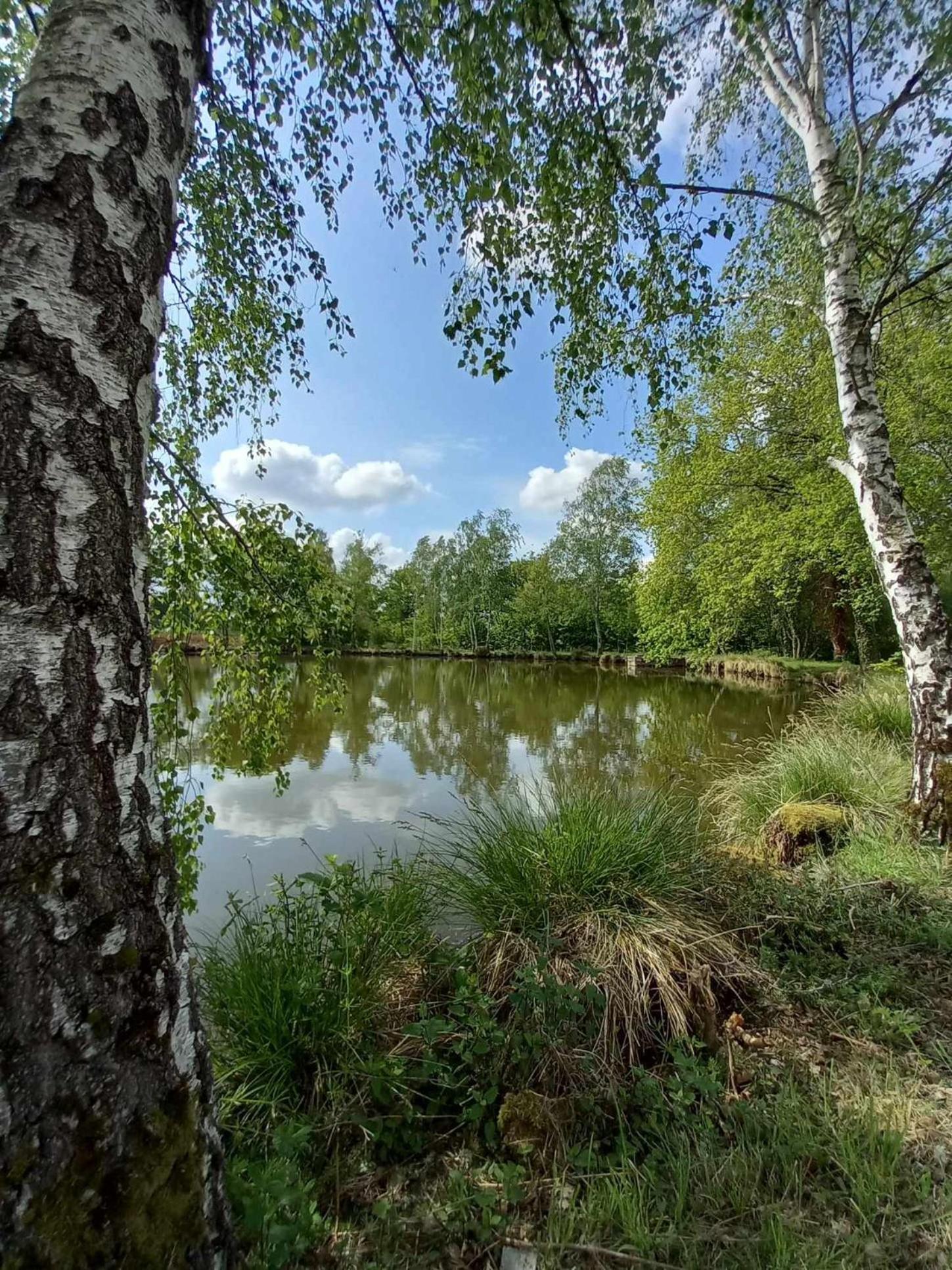 Le Chalet Limousin Folles Exteriér fotografie